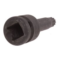 BGS Kraft-Bit-Einsatz | Länge 75 mm | Antrieb Innenvierkant 12,5 mm (1/2") | Innenvielzahn (für XZN) M12