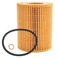 FEBI BILSTEIN Ölfilter + Schraube