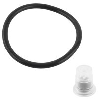 TECPO Pumpsprühflasche für Bremsenreiniger 2L