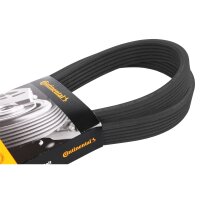CONTINENTAL CTAM Keilrippenriemen