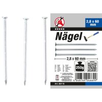 BGS DIY Nägel-Sortiment | 250 g | 2,8 x 60mm