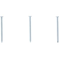 BGS DIY Nägel-Sortiment | 250 g | 2,8 x 60mm