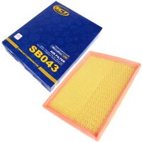 SCT Luftfilter