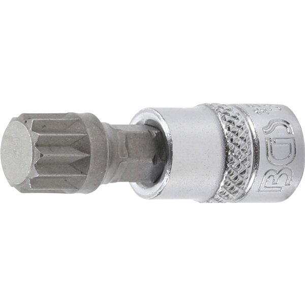 BGS Bit-Einsatz | Antrieb Innenvierkant 6,3 mm (1/4") | Innenvielzahn (für XZN) M10