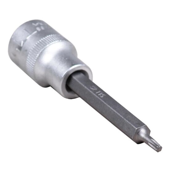 BGS Spezial-T-Profil-Einsatz, 12,5 (1/2), o. B., 100 mm lang, T15