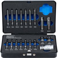 BGS Schraubenausdreher-Satz | für Innensechskant 1,5 - 10 mm / T-Profil (für Torx) | T10 - T55 | 19-tlg.