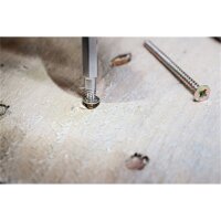 BGS Schraubenausdreher-Satz | für Innensechskant 1,5 - 10 mm / T-Profil (für Torx) | T10 - T55 | 19-tlg.