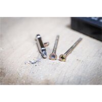 BGS Schraubenausdreher-Satz | für Innensechskant 1,5 - 10 mm / T-Profil (für Torx) | T10 - T55 | 19-tlg.