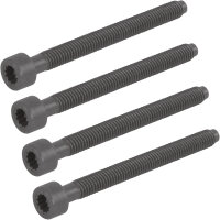 4x Justierschraube Pumpe Düse