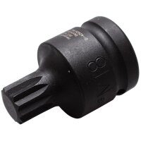 BGS Innenvielzahn-Bit-Einsatz, 20 (3/4), M18