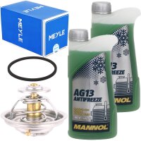 MEYLE Thermostat + Kühlerfrostschutz Grün BMW, 2 L