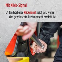TECPO Drehmomentschlüssel und Radwechsel Satz 6-tlg.