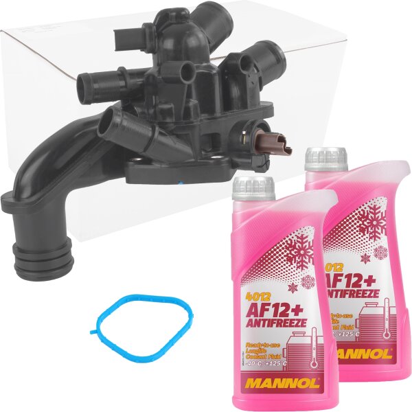 Thermostat + Frostschutz AF12+ 2x1L
