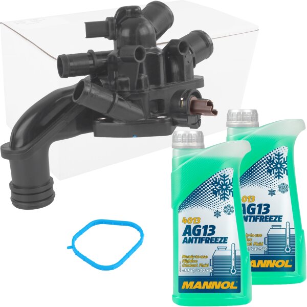 Thermostat + Frostschutz AG13 grün, 2x1L