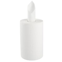 12x TECPO Putzrolle 2-lagig, 23x30 cm, WEIß-300