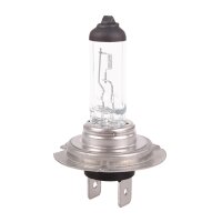 2x TECPO H7 Glühbirne 12V 55W - PX26d