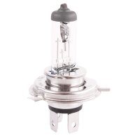 2x TECPO H4 Glühbirne 12V 55W P43T