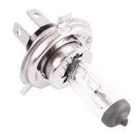 2x TECPO H4 Glühbirne 12V 55W P43T