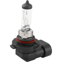 10x TECPO Glühbirne H10 12V 42W