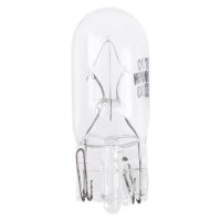 50x Glassockel W5W + 50x Seitenblinker WY5W