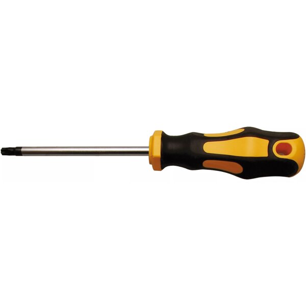 BGS DIY Schraubendreher | T-Profil (für Torx) T27 | Klingenlänge 100 mm