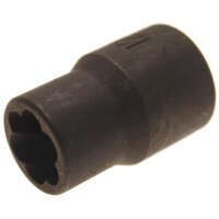 Spezial-Steckschlüsseleinsatz / Schraubenausdreher,...