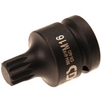 BGS Innenvielzahn-Bit-Einsatz, 20 (3/4), M16